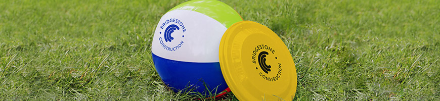Beach ball and frisbee in grass image